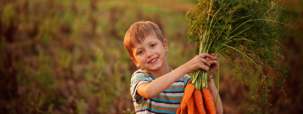 Carrot Benefits That are Great for Your Kids