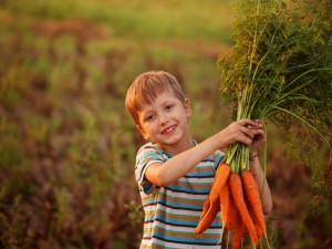 Carrot Benefits That are Great for Your Kids